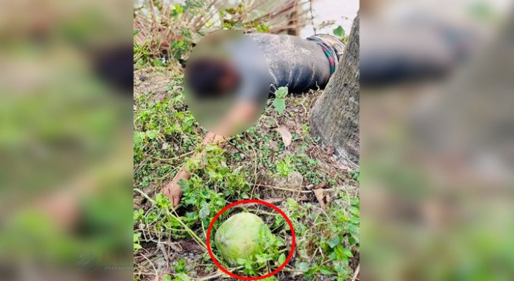 ডাব চুরি করতে গিয়ে বিপত্তি, গাছ থেকে পড়ে মর্মান্তিক মৃত্যু